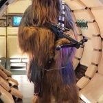 Chewbacca lookalike imitator dubbelganger